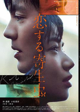 《雪原信使》封面