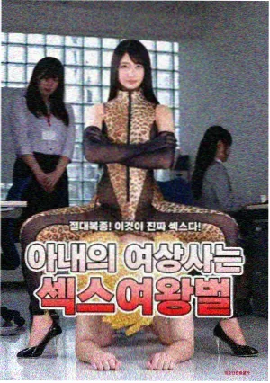 春季新番片单配图